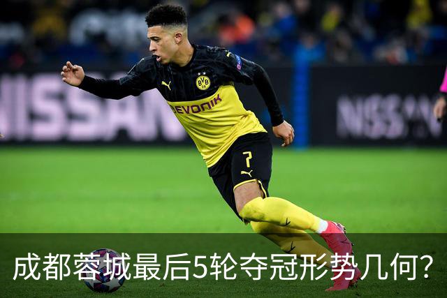 成都蓉城最后5轮夺冠形势几何？一文看懂